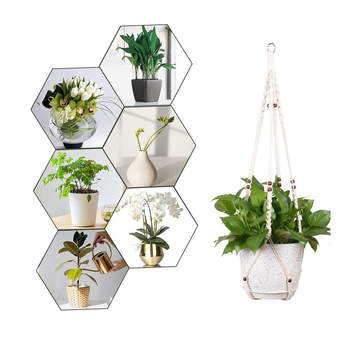 Handmade Cotton Rope Hanging Planters Flower Pots | Set Of 2