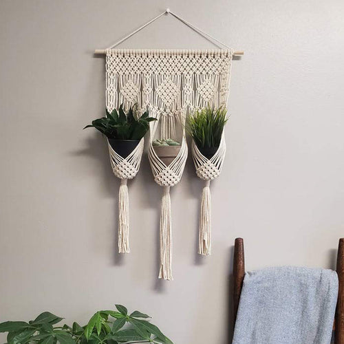Plant Hangers